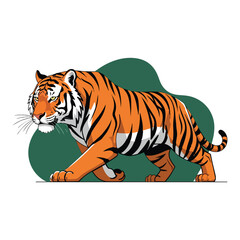Fototapeta premium Tiger walking with orange fur.