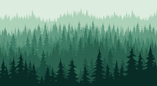 Misty Evergreen Forest Landscape, Layered Pine Trees, Serene Nature Background