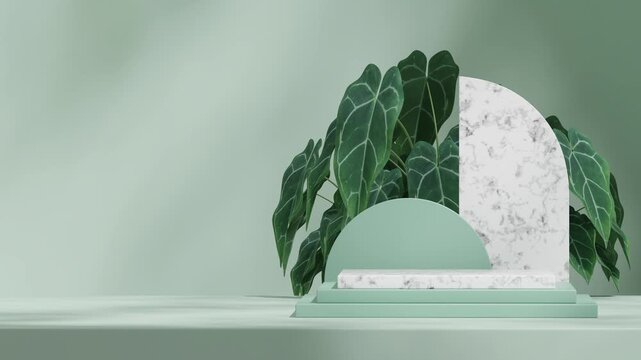 seamless shadow animation looping with green wall and anthurium plant, rendering 3d footage empty scene of white marble podium