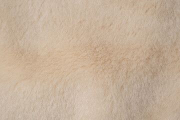 Detailed close up of soft beige textured plush fleece fabric background creating a warm cozy feeling © reddish