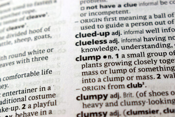 Fototapeta premium Detail Of English Dictionary Page And Word Pronunciation Of - clump