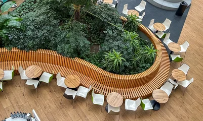 Fotobehang Horeca High angle view of modern indoor cafe with circular wooden bench and lush green plants  © reddish