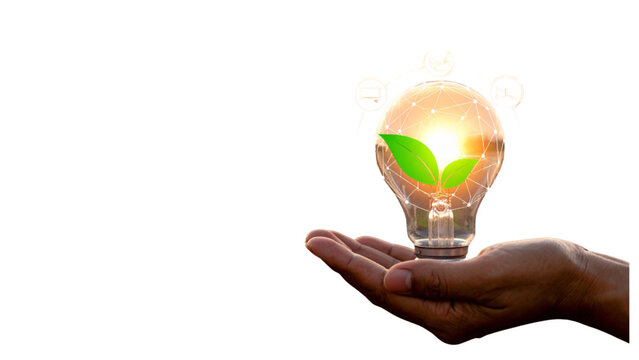 Creative light bulb set with icons for night mode learning inspiration and environmental leaf symbol for energy saving and sustainable green concept