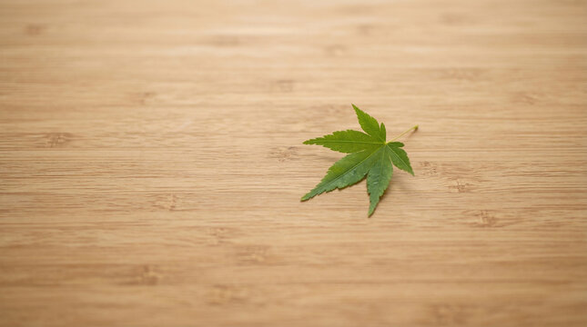 Single Green Maple Leaf Resting on a Smooth Bamboo Wood Surface