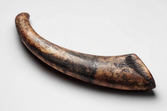 Large single animal horn on surface.