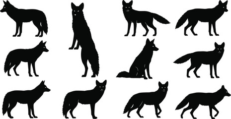 Fototapeta premium Black Fox Silhouette Collection Set with Various Poses Standing Sitting and Walking Isolated on White Background for Wildlife Nature and Vector Graphic Design