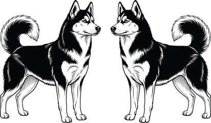 Black and white silhouette of two Siberian Husky dogs standing and facing each other in profile, cad drawing flat vector illustration isolated on white © MdAnisur