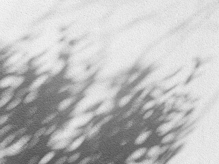 Naklejka premium Leaves of Tree Shadow on White Concrete Wall Background, Suitable for Product Presentation and Backdrop.