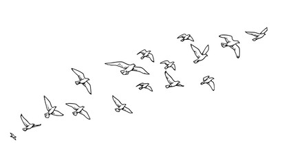 Obraz premium Hand-drawn flying birds vector set with ink and brush line style