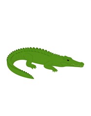Fototapeta premium A flat-colored, stylized illustration of a green crocodile in a side profile. The reptile is fully rendered