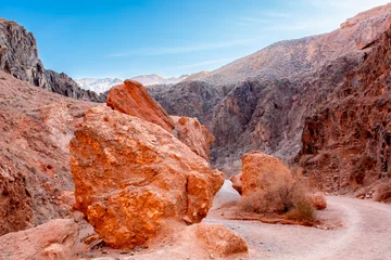 Fototapeten Naturpark Charyn Canyon, Valley of Castles. The excellence of Kazakhstan. Panorama of natural unusual landscape. The red canyon of extraordinary beauty looks like a Martian landscape.  © Vera