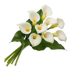 Obraz premium A beautiful bouquet of white calla lilies with green stems and leaves isolated on white background