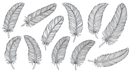 Hand-drawn feather illustrations, black and white sketch, vintage style, isolated on white © Ketik