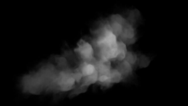 煙in_Out_Smoke with Alpha Channel 29.97fps 001
