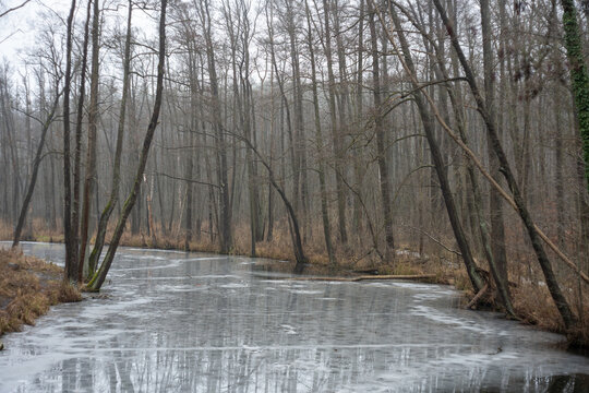 Skuta lodem w całości rzeka stanowi niebezpieczeństwo przyduchy dla ryb