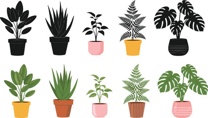 houseplant collection vector illustration, indoor potted plants set with monstera aloe fern decorative home plants bundle © Heyy