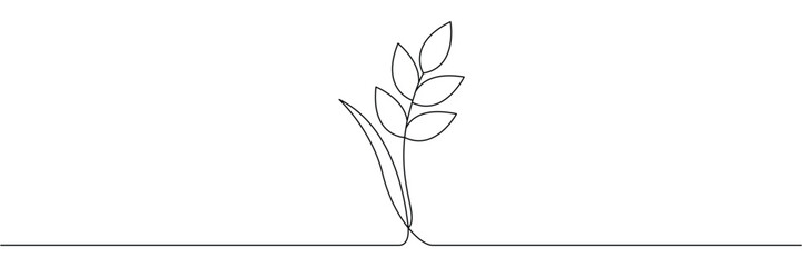 Continuous one line drawing of wheat stalk grain ear for organic bakery logo and nature. Editable stroke outline. Draw thin linear width. Single contour art. Doodle hand drawn vector illustration © SomDraw