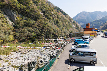 展望所から見た春の大歩危小歩危