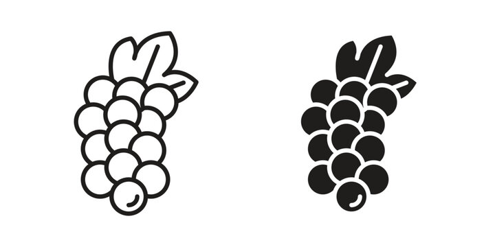 Grape icon element for graphic designs. line and flat symbols