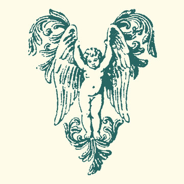 Vintage engraving style vector graphic illustration featuring a cherub with elaborate baroque scrollwork wings and base ornamentation