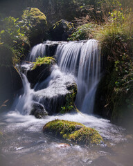 Dreamy Small Waterfall on Mossy Stream in the Pyrenees
