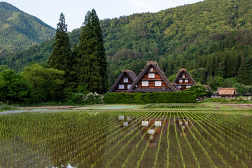 世界遺産、白川郷　合掌集落　春 © Hiro074