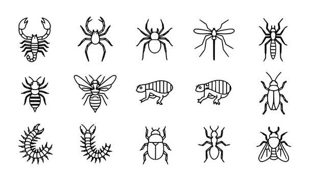 Dangerous Bugs Outline Icons &ndash; Thin Line Pest Insect Symbol Pack