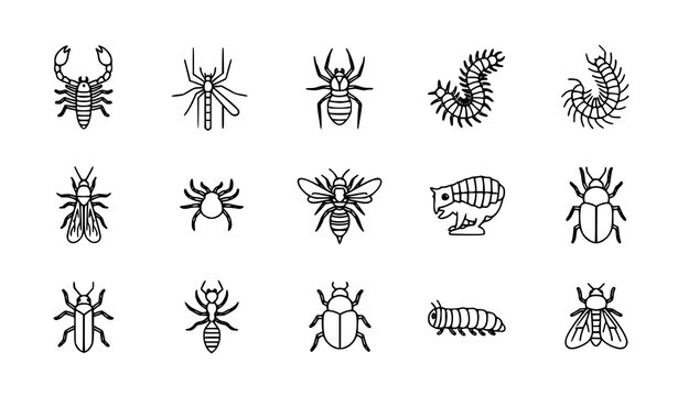 Dangerous Insect Thin Line Icons Set &ndash; Outline Pest Bug Vector Collection