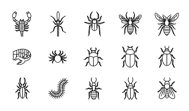 Dangerous Insect Outline Icon Set &ndash; Minimal Pest Bug Line Symbols