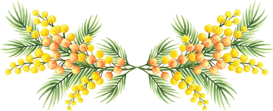 Watercolor mimosa flower and leaf border illustration. Symmetrical floral divider vector graphic for spring design.