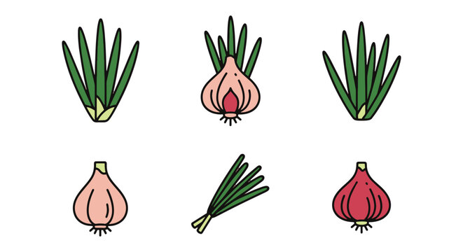 Garlic Chives Line art vector geometric abstract color