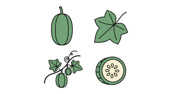 Ivy Gourd Line art vector set creative artistic abstract style