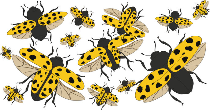 Vibrant Vector Collection of Yellow Spotted Beetles Featuring Various Sizes of Flying Insects for Nature Biology and Garden Pest Illustration Design Projects