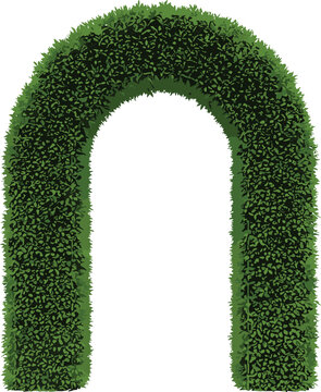 Garden hedge arch topiary greenery archway landscaping plant decoration vector illustration