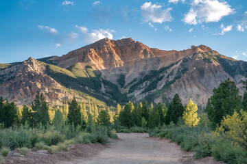 Obraz premium A scenic mountain landscape with a winding dirt path, lush green forest, and sunlit peaks under a blue sky, capturing the beauty of nature and outdoor adventure.