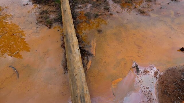 Ochre colored mineral pools showing abstract patterns and deadfall logs in Kootenay National Park