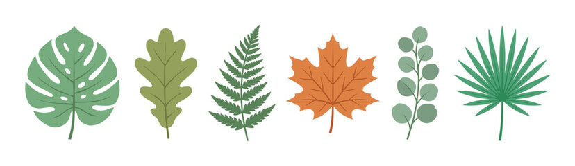 Obraz premium Set of various illustrated plant leaves including monstera, oak, fern, maple, eucalyptus, and palm, showcasing a flat design style with natural green and orange colors for botanical concepts