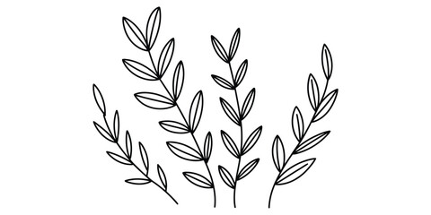 Minimalist black and white hand drawn illustration of four leafy plant stalks on white background. © JoyChandra