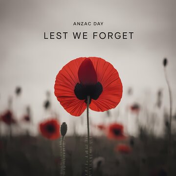 ANZAC Day remembrance field with ANZAC Day Lest We Forget text and focused red poppy in blurred poppy landscape