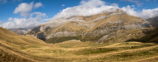 Herd of horses on the slopes of Punta de la Cuta, western valleys, Pyrenean mountain range, province of Huesca, Aragon, Spain, europe