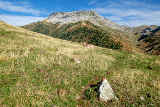 GR11 trail, Valley of Hecho, western valleys, Pyrenean mountain range, province of Huesca, Aragon, Spain, europe