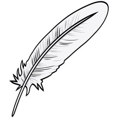 Fototapeta premium Feather Quill Pen Classic Stationery Illustration Vector