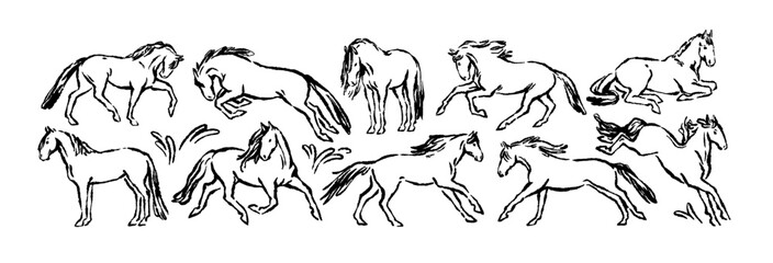 Horse sketches set, doodle outline drawings. Hand-drawn equine animals running, standing, jumping. Foals, charcoal chalk line, contour style. Handdrawn vector illustration isolated on white background © Good Studio