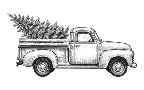 pickup truck carrying a freshly cut Christmas tree sketch illustration