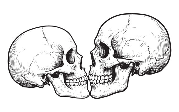 Two human skulls kissing facing each other in profile vintage sketch illustration