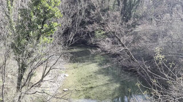 Torrente poco profondo in un bosco, con acque limpide e fondale roccioso illuminato dal sole