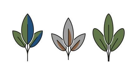 Sage Leaf Line art vector set colorful abstract modern illustration