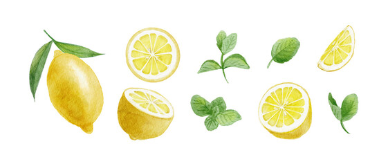 Watercolor lemon and spearmint set, hand-painted fresh yellow citrus fruits with green mint sprigs illustration-300dpi-