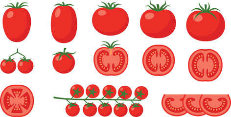 Tomato types and slices collection. Whole tomatoes, cherry tomato branch and cross sections. Fresh organic vegetable illustration for salad ingredients, cooking food, and farm harvest design. © ALINA