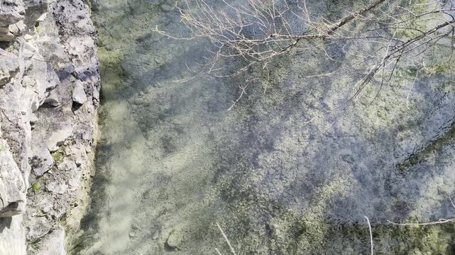 Fondale di un fiume di montagna appare attraverso acque limpide e trasparenti, mostrando alghe, sedimenti e dettagli naturali illuminati dalla luce del sole